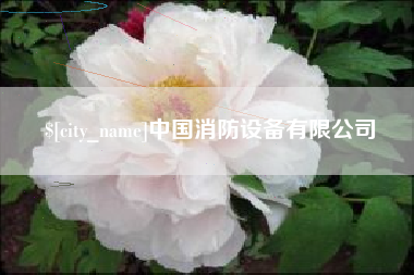 六盘水中国消防设备有限公司
