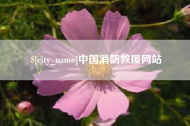 六盘水中国消防救援网站
