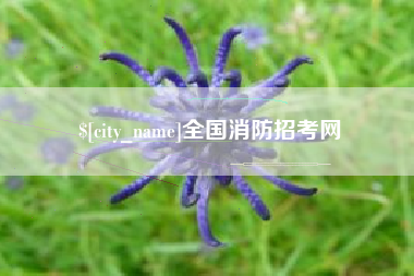 六盘水全国消防招考网