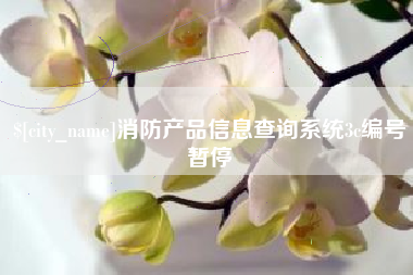 六盘水消防产品信息查询系统3c编号暂停