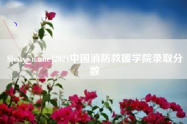 六盘水2021中国消防救援学院录取分数