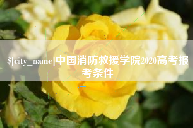 六盘水中国消防救援学院2020高考报考条件