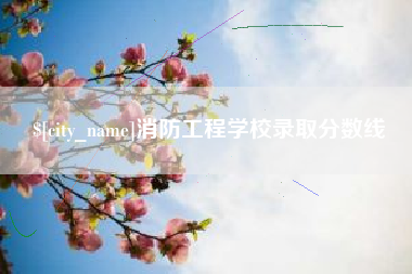 六盘水消防工程学校录取分数线