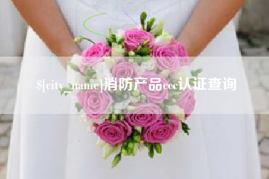 六盘水消防产品ccc认证查询