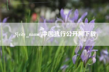 六盘水中国执行公开网下载