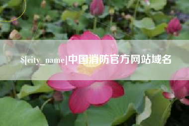 六盘水中国消防官方网站域名