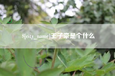 六盘水王子豪是个什么