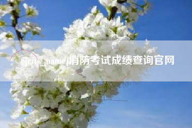 六盘水消防考试成绩查询官网