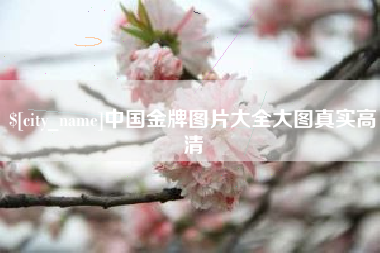 六盘水中国金牌图片大全大图真实高清