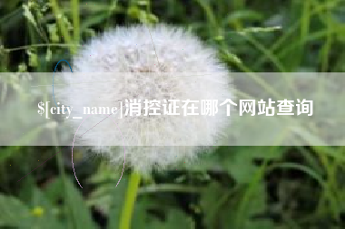 六盘水消控证在哪个网站查询
