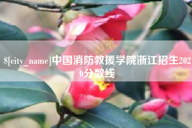 六盘水中国消防救援学院浙江招生2020分数线