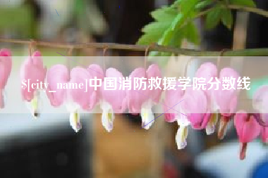 六盘水中国消防救援学院分数线