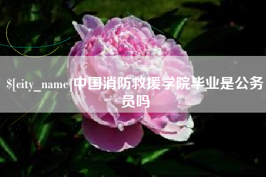 六盘水中国消防救援学院毕业是公务员吗