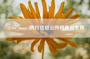 六盘水执行信息公开网查询免费
