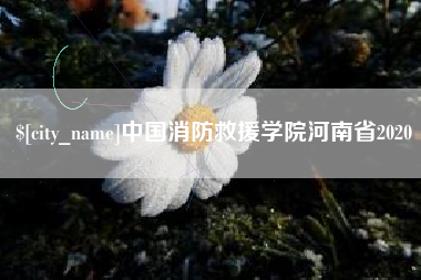六盘水中国消防救援学院河南省2020